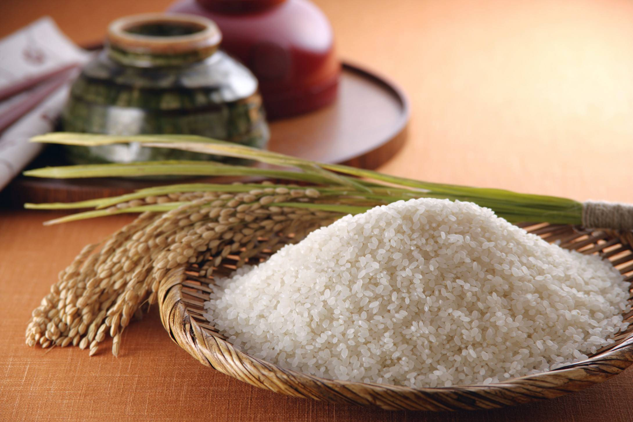 Reisproteinpulver in großen Mengen