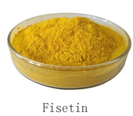 Fisetin-Extrakt.png