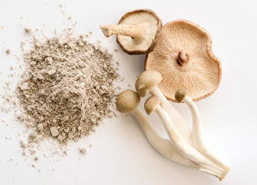 Welcher Pilz eignet sich am besten für Anti-Aging.png